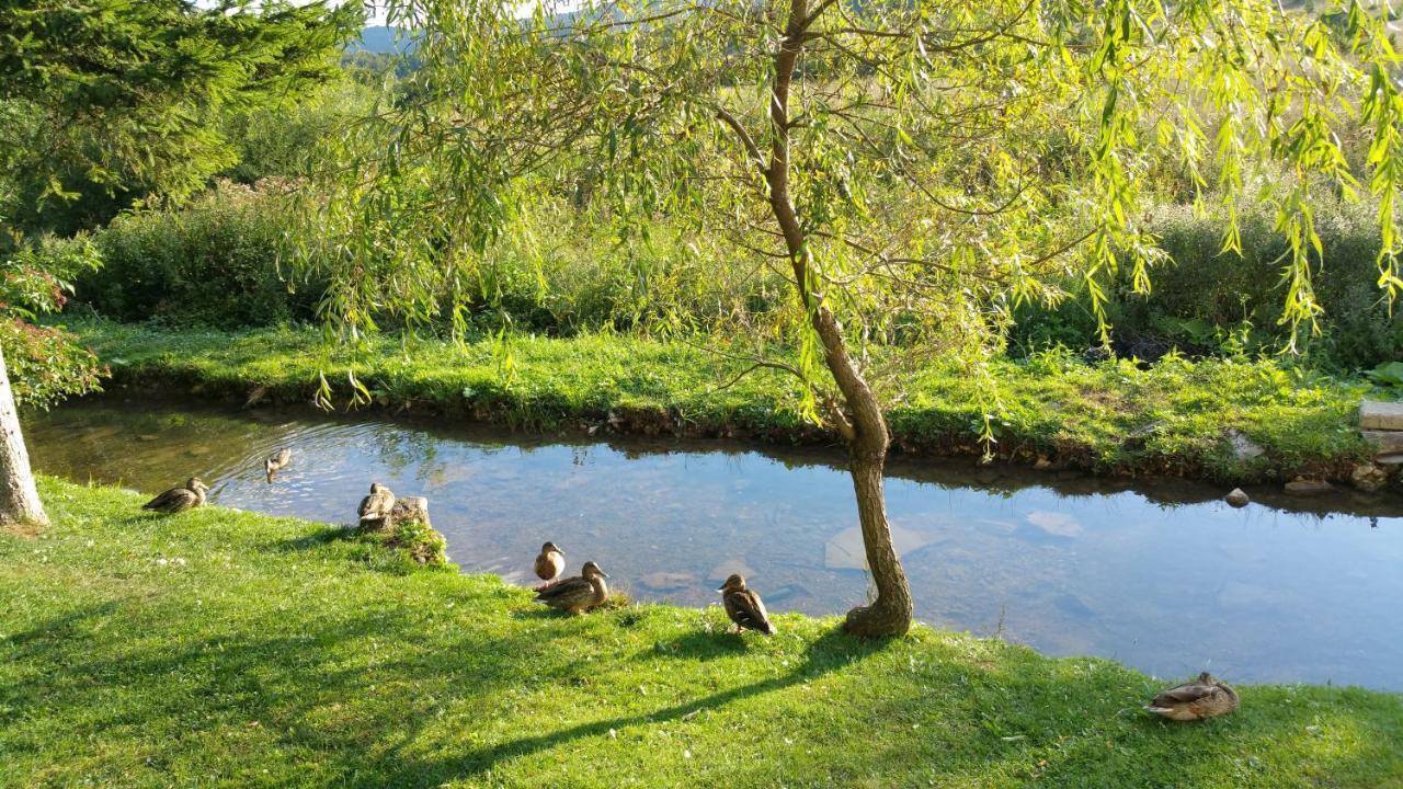 Inn Rustic River